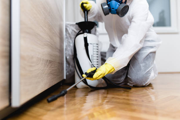 Best Termite Control Services  in Westville, NJ