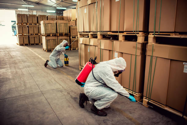 Best Best Pest Control Companies  in Westville, NJ