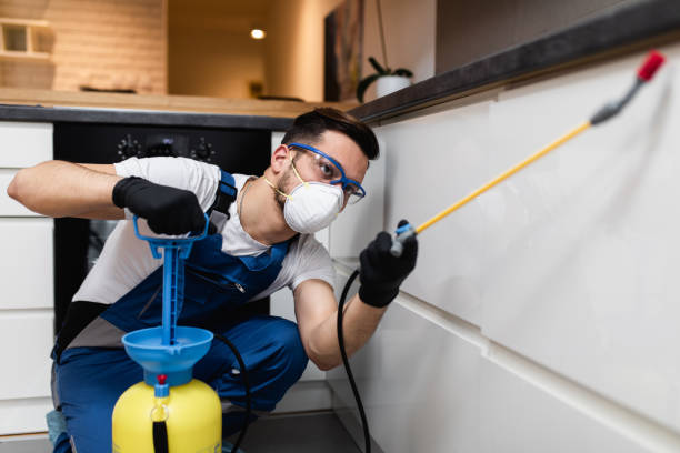 Pest Control for Restaurants in Westville, NJ