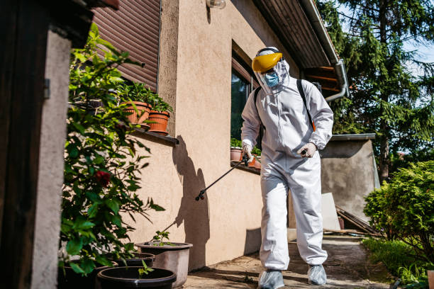 Best Local Pest Control Services  in Westville, NJ