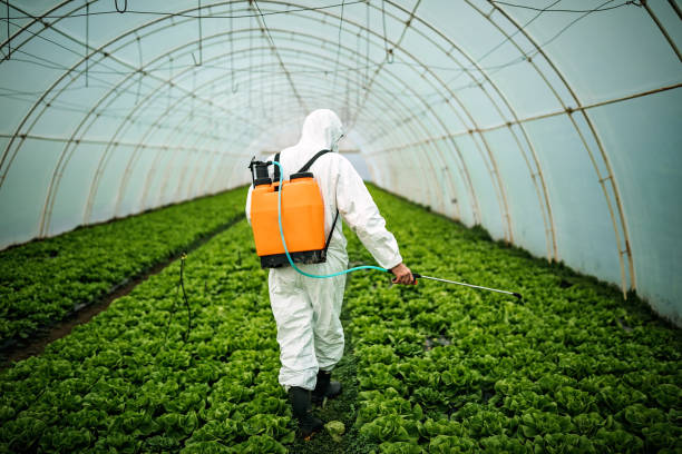 Best Pest Removal Services  in Westville, NJ