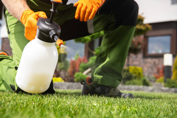 Best Affordable Pest Control Services  in Westville, NJ