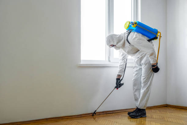 Best Insect Control  in Westville, NJ