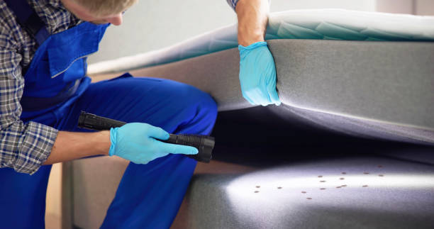 Best Rat Extermination Near Me  in Westville, NJ
