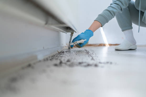 Best Exterminator Services  in Westville, NJ